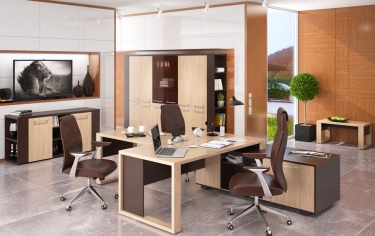 Кабинет руководителя Skyland Alto 1